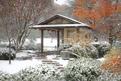 JapaneseGarden_24-11_SundosSchneider_30