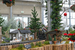 Evt_HolidayFlowerTrainShow_2024_SundosSchneider_11