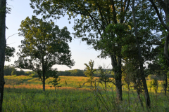 SNR_ ShawNatureReserve_23-09_SundosSchneider_07