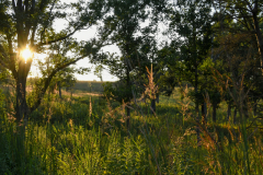 SNR_ ShawNatureReserve_23-09_SundosSchneider_14