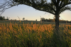 SNR_ ShawNatureReserve_23-09_SundosSchneider_16